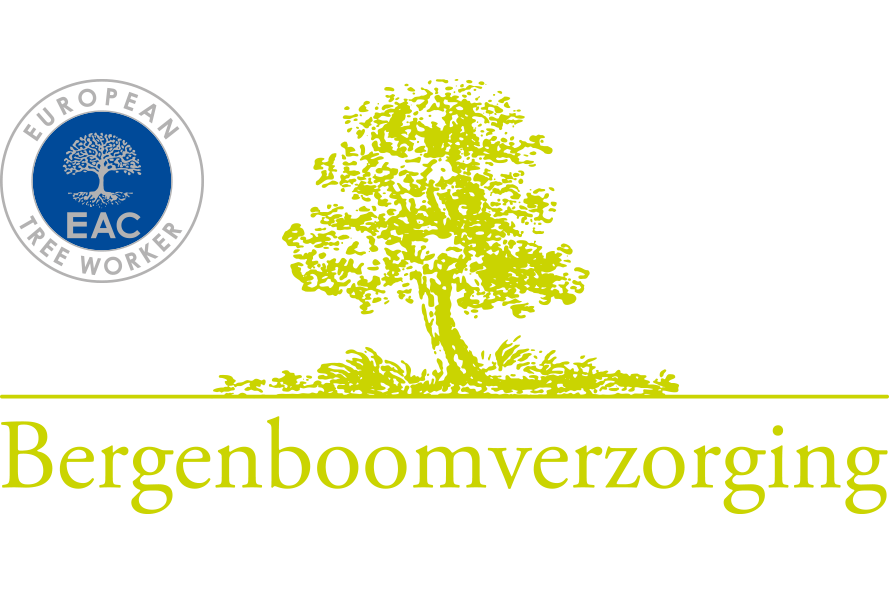 Bergenboomverzorging